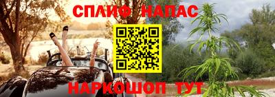 индика Баксан