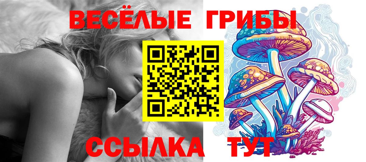 где купить наркоту  Галлюциногенные грибы Magic Shrooms  Вход с VPN  Галлюциногенные грибы Magic Shrooms  Городец 